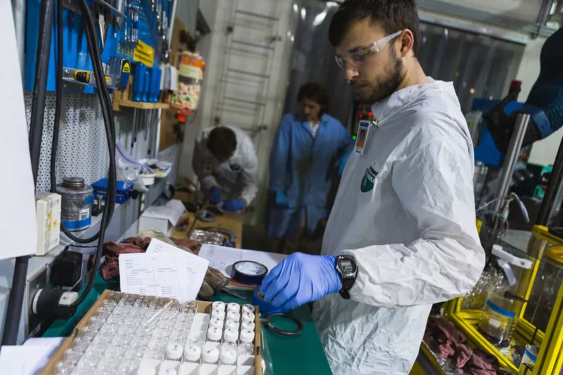 WWU student researching in lab