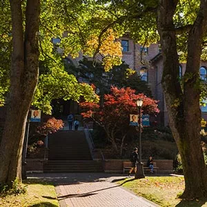 Old main pathway framed by two trees on a sunny day