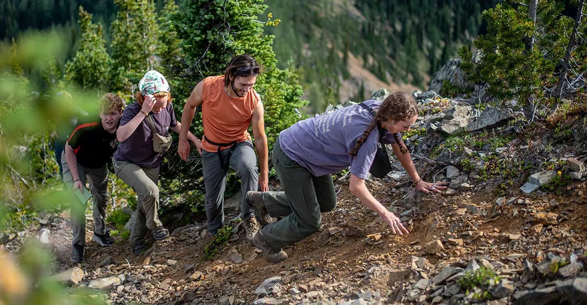 Four students hiking up a steep hill