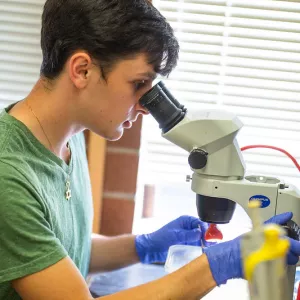student peering into a microscope
