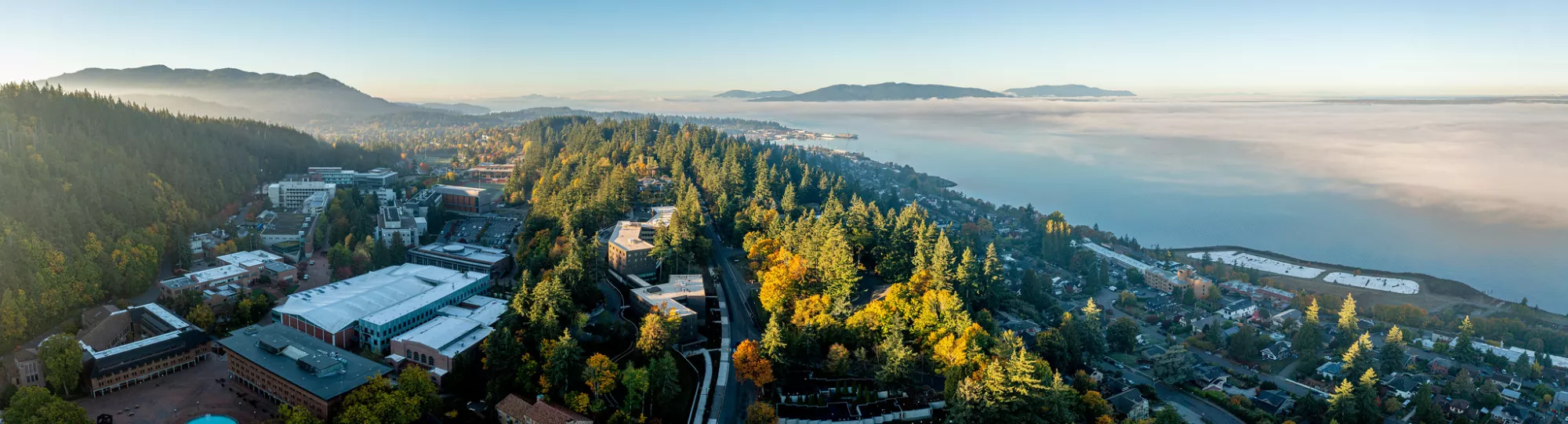 Aerial panorama of a tree-covered campus beside a fog-engulfed bay, with mountains in the background.