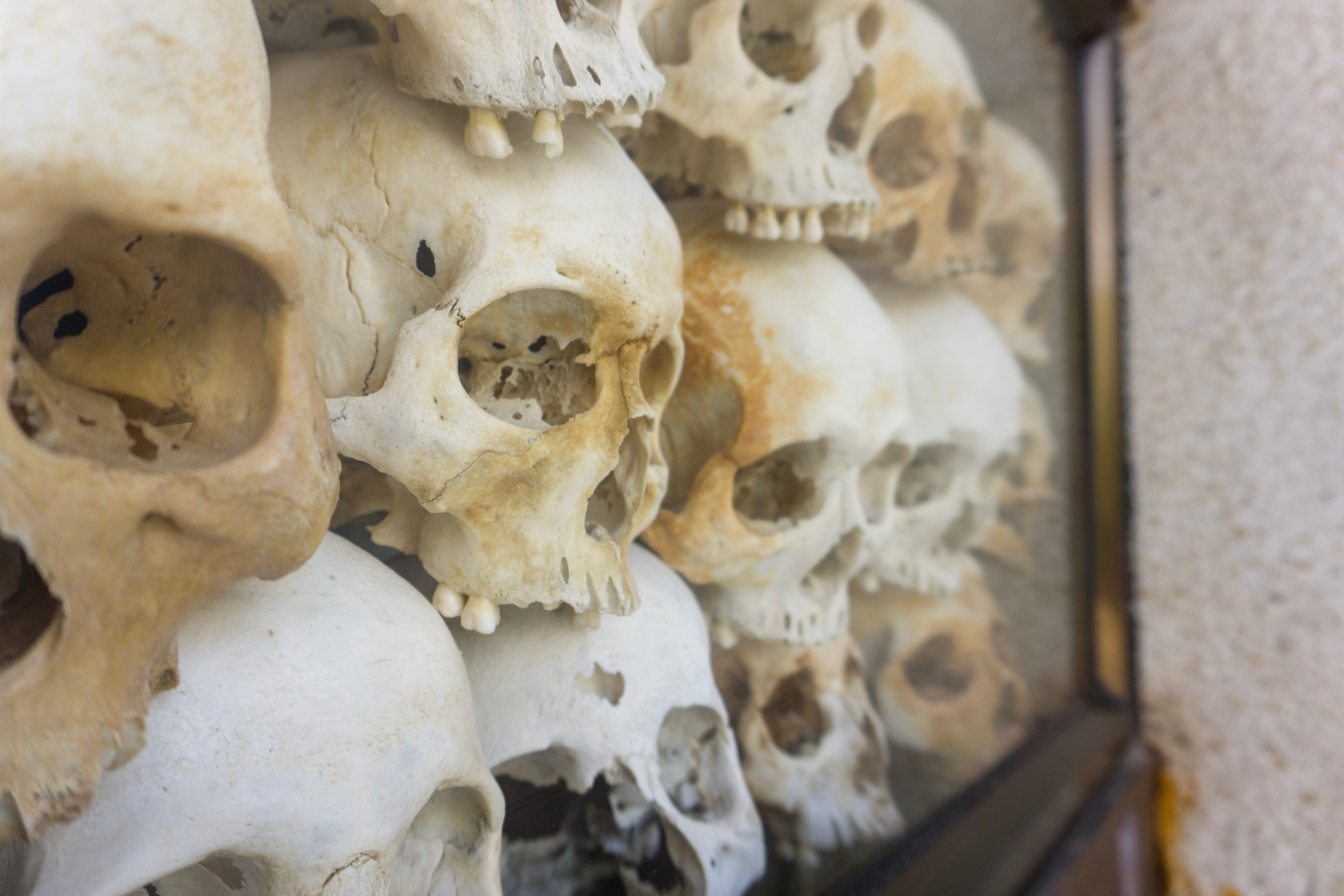 Skulls packed into a wall