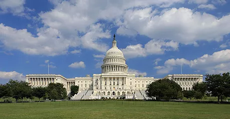 The capital building stands out under a blue sky