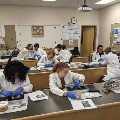 Students conducting experiments in a classroom lab