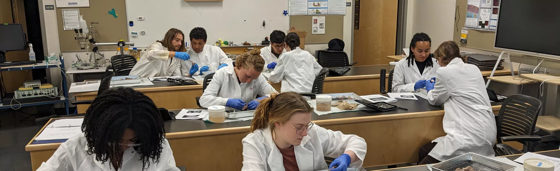Students conducting experiments in a classroom lab