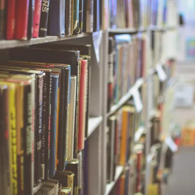 Books on library shelves