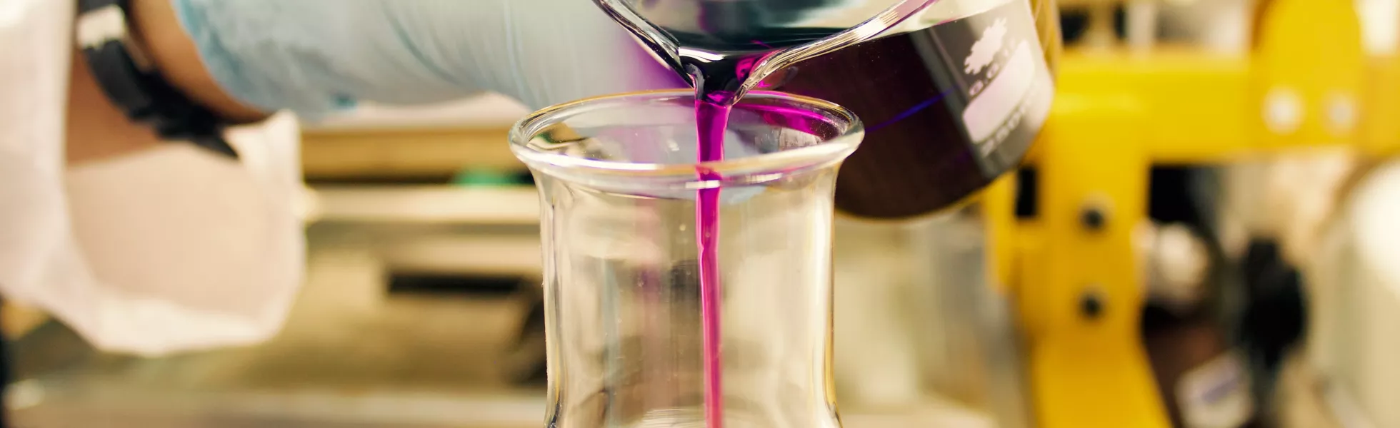 A gloved hand pouring purple liquid from a beaker into a flask