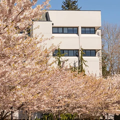 Parks Hall, a white concrete building, sits behind several blossoming cherry trees.