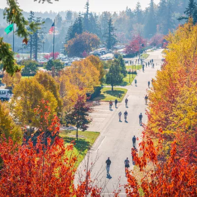 Aerial view of students walking along a brick pathway on South Campus.