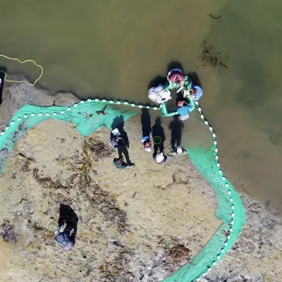 Overhead shot of a group of students studying the riverbank ecosystem of the Elwha River