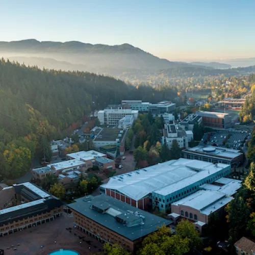 Aerial view of North campus from Red Square looking South. The sky is crystal blue and both sides of campus are lined by towering green trees.